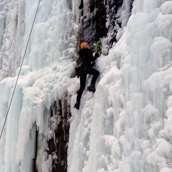 Meet your Posher, Elizabeth - Picture 1 of 2